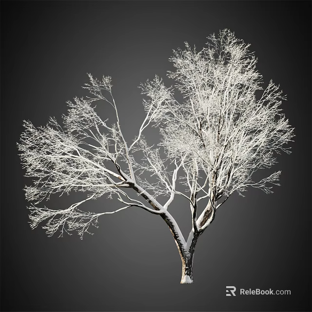 Snow Covered Leafless Tree With White Branches Against Dark Background 3d model 