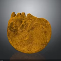 Orange Cat Curled Up Sleeping in Round Shape Against Dark Background 3d model