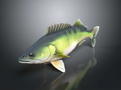 Green And Yellow Fish 3D Model On Dark Background With Reflection Effect 3d model