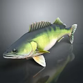 Green And Yellow Fish 3D Model On Dark Background With Reflection Effect