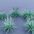 Decorative Garden Herbs With Purple And White Flowers And Green Leaves