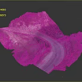 Realistic 3D Mountain Terrain Model With Winding Road And Green Vegetation