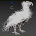 Brown Feathered Vulture With Bald Head Standing On Grassy Field In Natural Habitat