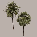 Modern Tree Pit With Lush Palm Trees For Urban Outdoor Landscape Design