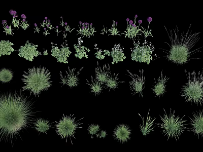 Decorative Purple Flowers and Various Green Grasses on Black Background 3d model