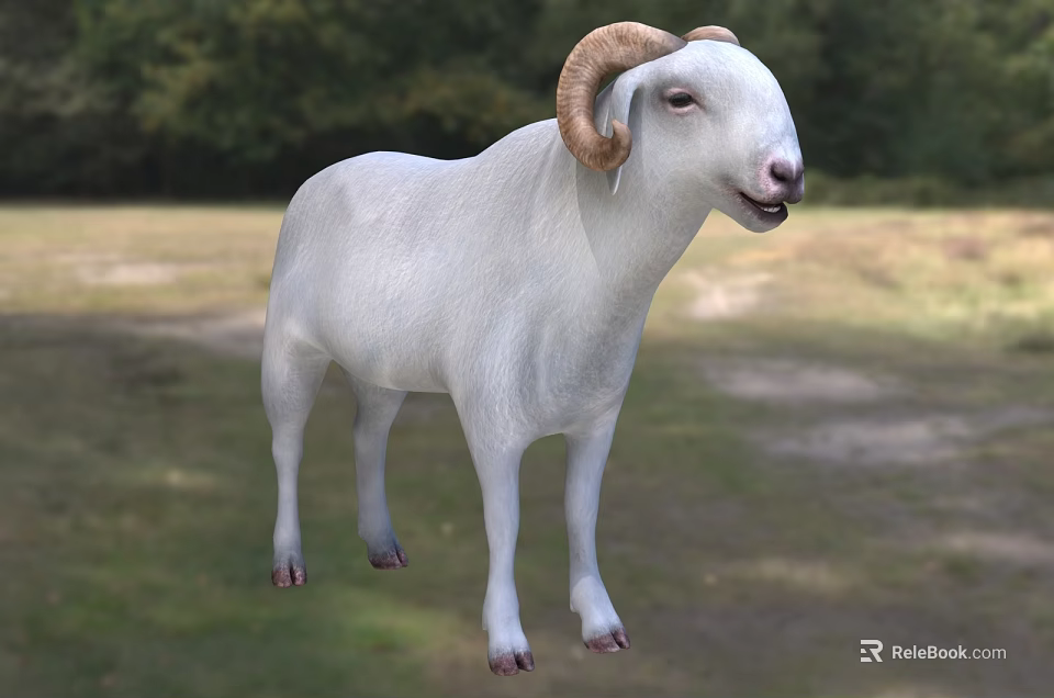 Horned White Reptile Standing On Green Grass Field With Forest Background 3d model 