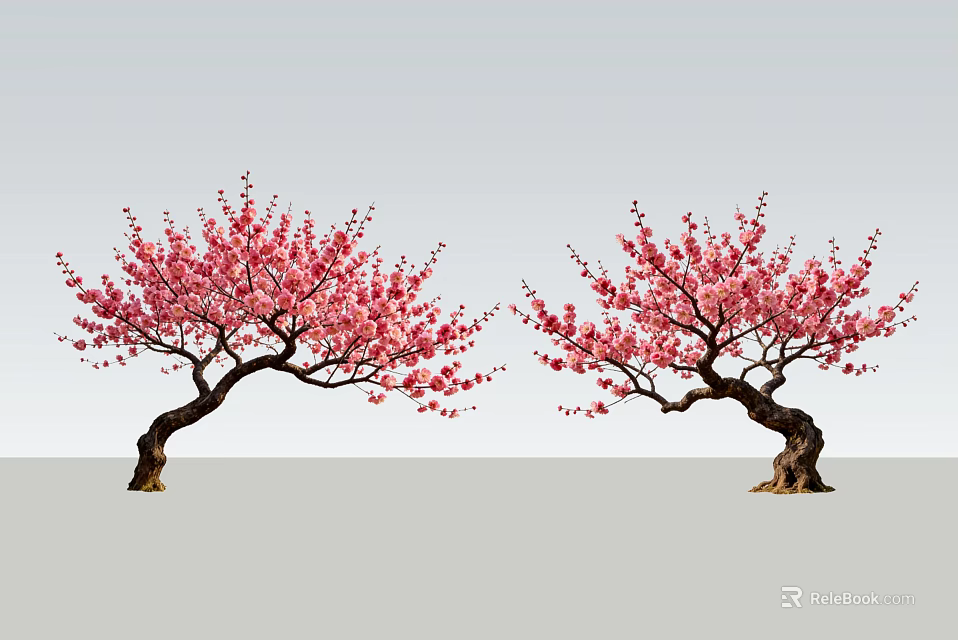 Two Beautiful Trees With Pink Blossoms And Curved Trunks In Gray Setting 3d model 