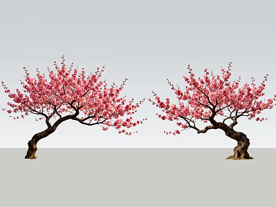 Two Beautiful Trees With Pink Blossoms And Curved Trunks In Gray Setting 3d model