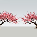 Two Beautiful Trees With Pink Blossoms And Curved Trunks In Gray Setting