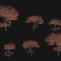 Red Leaf Arbor Trees With Various Shapes Display On Black Background 3d model