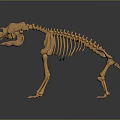 Orange Colored Animal Skeleton 3D Model With Detailed Bone Structure And Dark Background 3d model