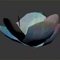 Artistic Translucent Flower With Colorful Blue Pink White Petals On Dark Background