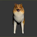 Collie Dog Sculpture With Orange And White Fur Standing On Black Background