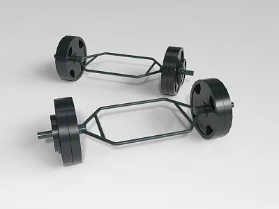 Durable Black Sports Equipment Barbells With Weight Plates And Metal Bars 3d model