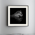 Modern Animal Painting Simple Black and White Children's Room Animal Tiger Decorative Painting 3d model