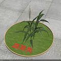 Fresh Corn Vegetable Growing In Circular Green Patch On Gray Pavement 3d model