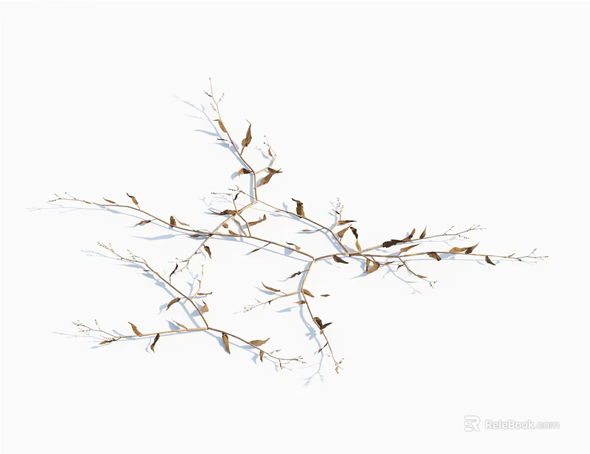 Natural Plant Branches With Small Light Colored Leaves Showing Detailed Structure On White Background 3d model 