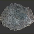 Blue Aquatic Coral Structure Featuring Porous Surface And Natural Texture Details