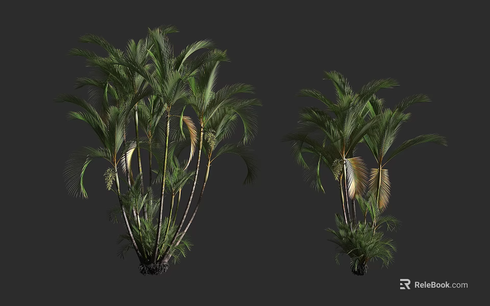 Lush Tropical Palm Shrubs With Green Leaves And Various Growth Forms 3d model 