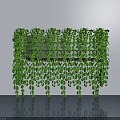 Lush Hanging Green Plants with Trailing Vines and Reflective Floor on Gray Background