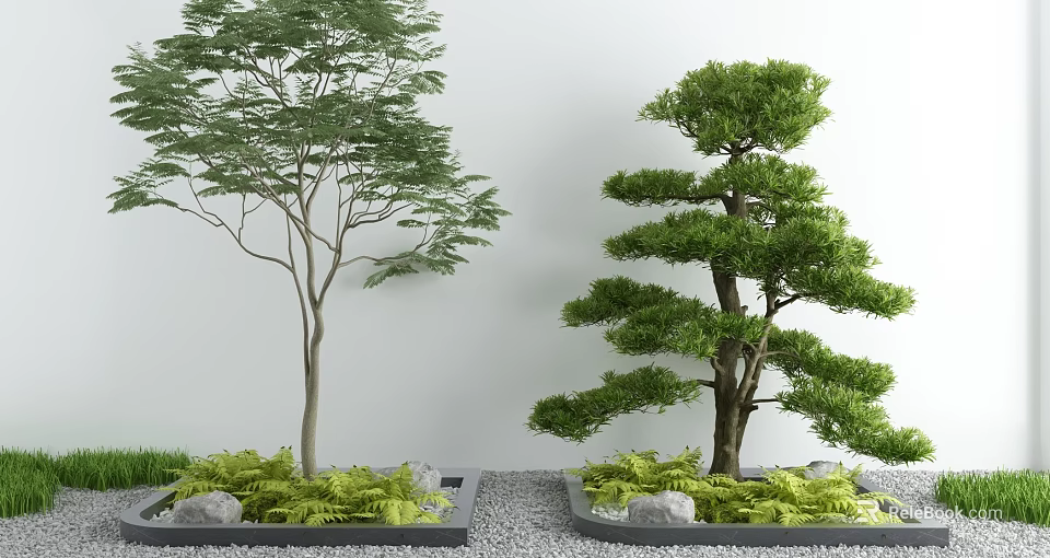 Serene Courtyard Garden With Two Trees Green Plants Stones White Wall And Gravel Ground 3d model 