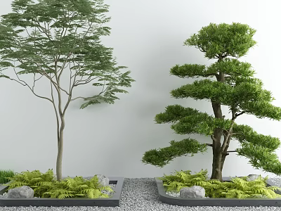 Serene Courtyard Garden With Two Trees Green Plants Stones White Wall And Gravel Ground 3d model