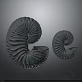 Two Gray Textured Spiral Sculptures Against Dark Background With Reflection 3d model