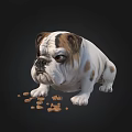 Bulldog With White And Brown Coat Sitting Near Scattered Dog Food Pieces