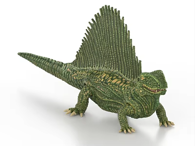 Green Detailed Dinosaur Model With Sailback And Textured Skin Standing Pose 3d model