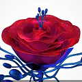 Stunning Red Rose with Glittery Petals and Blue Leaves on Black Background