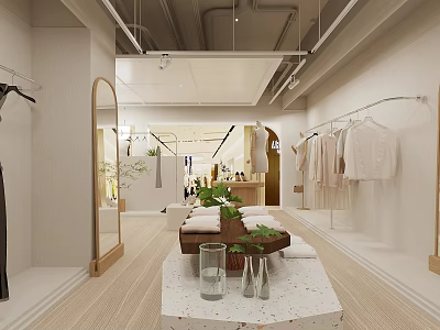 Light Colored Clothing Store Interior With Hanging Clothes Mirror Green Plants And Vases On Table 3d model