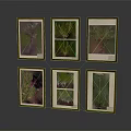 Six Wooden Framed Plant Photography Prints Arranged in Grid as Wall Art