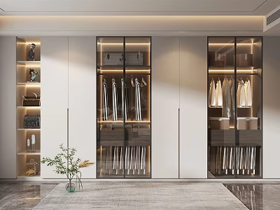 Modern Wardrobe Interior Design With Glass Doors And Hanging Clothes Storage 3d model