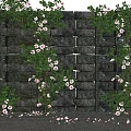 Garden Landscape With Stone Wall Climbing Green Vines Pink Flowers And White Pebbles Ground