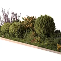 Decorative Ornament Set with Green Plants Bushes Flower Clusters and Grass