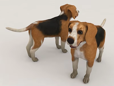 3D Rendered Beagle Dogs Standing Side By Side 3d model