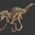 High Quality Medical Skeleton Model For Educational Training In Healthcare Institutions