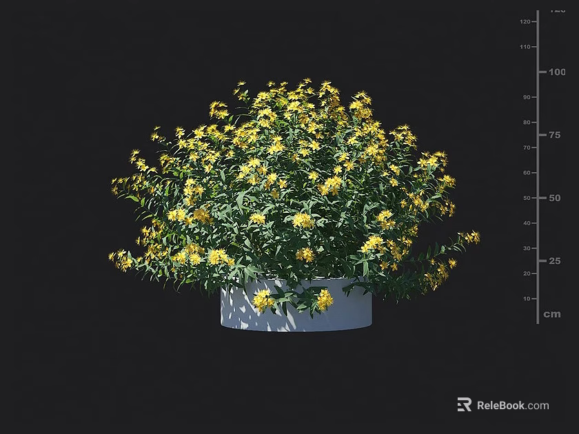 Beautiful Decorative Potted Plant With Bright Yellow Flowers In White Pot 3d model 