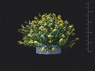 Beautiful Decorative Potted Plant With Bright Yellow Flowers In White Pot 3d model