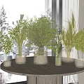 Elegant Flower Arrangements With Various Vases And Green Plants On Marble Tabletop Indoor