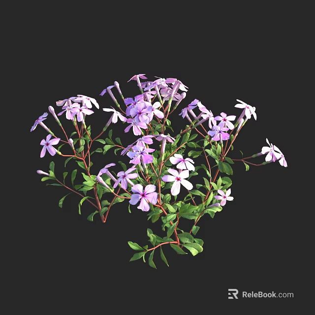 Beautiful Cluster of Purple and White Flowers with Green Leaves and Red Stems 3d model 