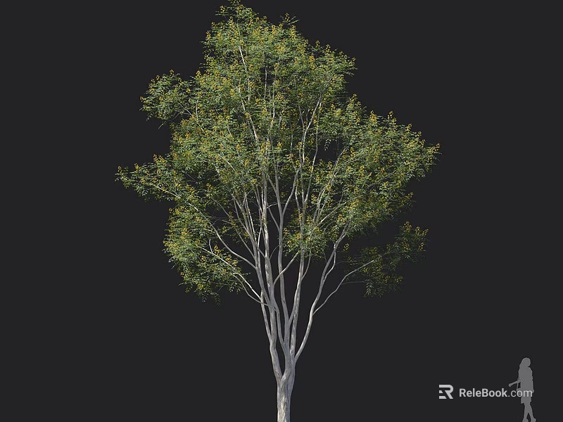 Tall Arbor With Green Leaves And Slender Trunk Featuring Dense Branches And Foliage 3d model 