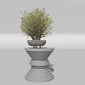 Elegant Bonsai Plant in Light Colored Pot on White Spiral Multi Layered Pedestal