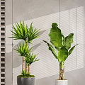 Modern Indoor Potted Plants With Tropical Leaves In Stylish Pots And Decorative Wall
