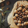 Natural Decorative Ornament Combination with Open Book Walnuts Pine Cones Green Plants in Wooden Bowl