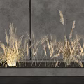 Natural Dried Pampas Flowers And Grass In Rectangular Concrete Planter Against Gray Wall