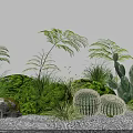 Lush Green Plants Collection Featuring Cacti Ferns And Grass Tufts With Rocks On Sandy Ground