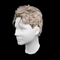 Realistic Human Head Model With Light Brown Curly Hair And Facial Features
