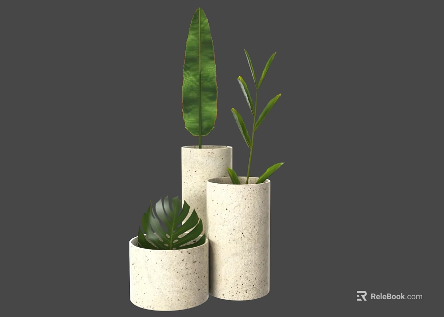 Stylish Potted Plants in Concrete Cylindrical Pots with Various Heights and Green Leaves 3d model 