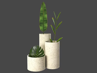 Stylish Potted Plants in Concrete Cylindrical Pots with Various Heights and Green Leaves 3d model